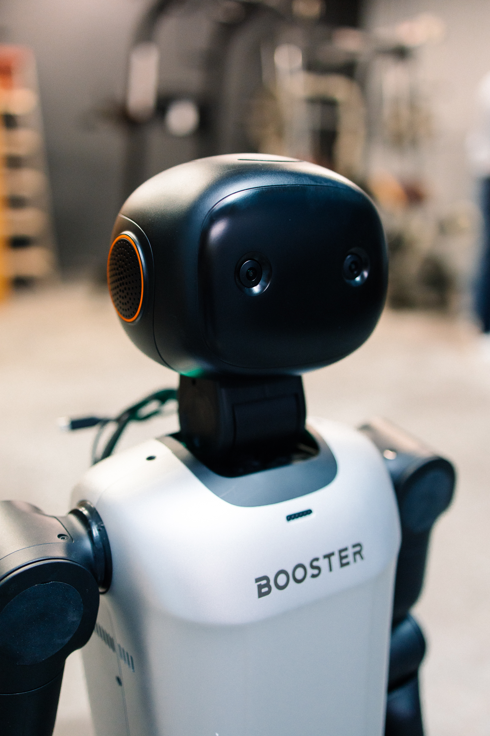 Stewie — Booster K1 EDU